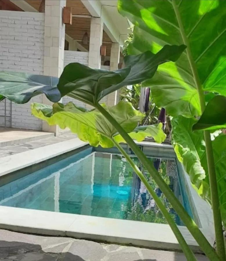 Surya Lombok Accommodation 셀롱 벨라낙 외부 사진