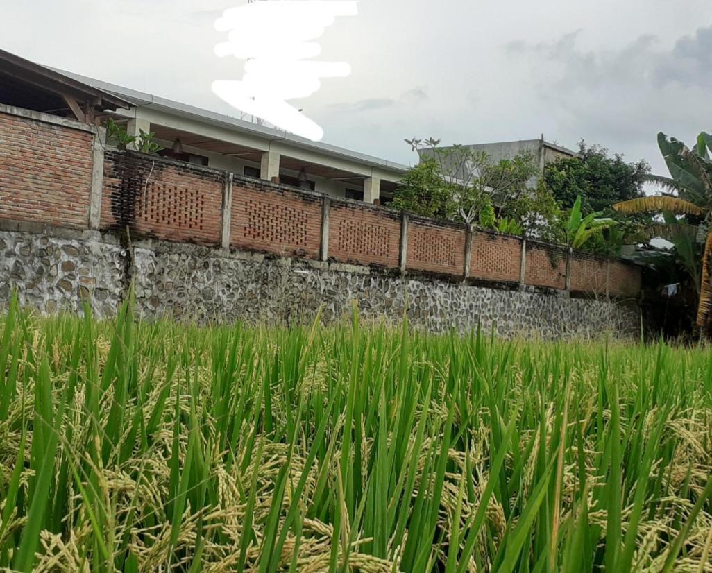 Surya Lombok Accommodation 셀롱 벨라낙 외부 사진